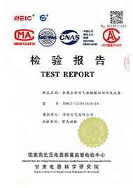金屬全封閉氣體絕緣環(huán)網(wǎng)開(kāi)關(guān)設(shè)備 SRM□-12(V)/630-20